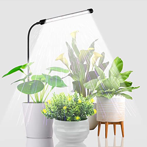 Best Artificial Light for Plants